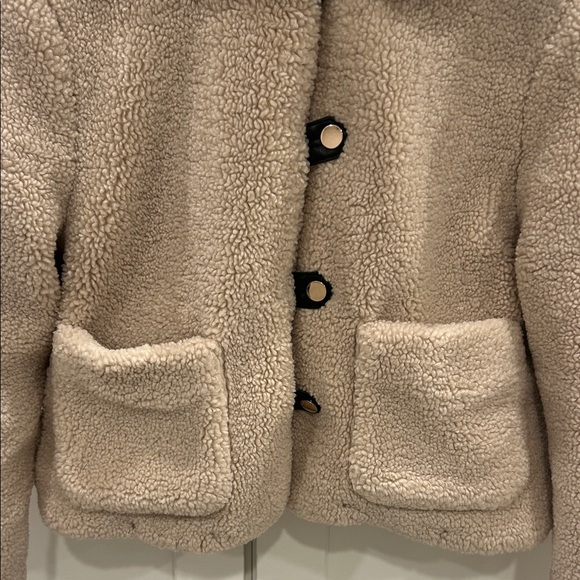 Zara Cream Teddy Jacket for Women - Picture 3 of 6
